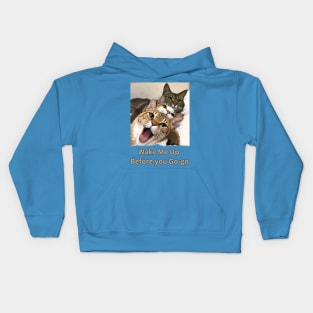 Wake me up before you Go-go (3 cats sleeping together) Kids Hoodie